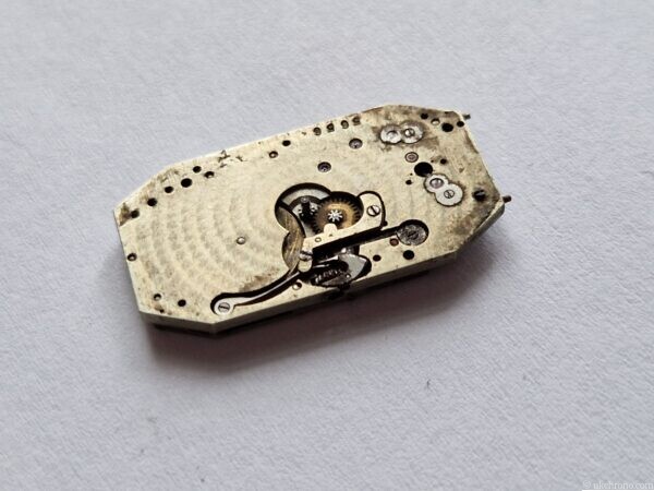 Vintage Geneva Seal Form Watch Movement 14.3 x 26.3mm – Project Movement