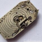 Vintage Geneva Seal Form Watch Movement 14.3 x 26.3mm – Project Movement