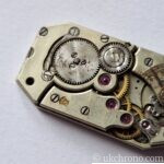 Vintage Geneva Seal Form Watch Movement 14.3 x 26.3mm – Project Movement