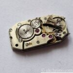 Vintage Geneva Seal Form Watch Movement 14.3 x 26.3mm – Project Movement