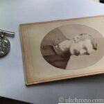 Original George V British War Medal 1914–1918 Named SPR. T.H. HOLDER No. 508223