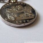 VICTORIA REGINA 1953 SOUTH AFRICA British Empire campaign medal presented for service during the Cape Frontier Wars